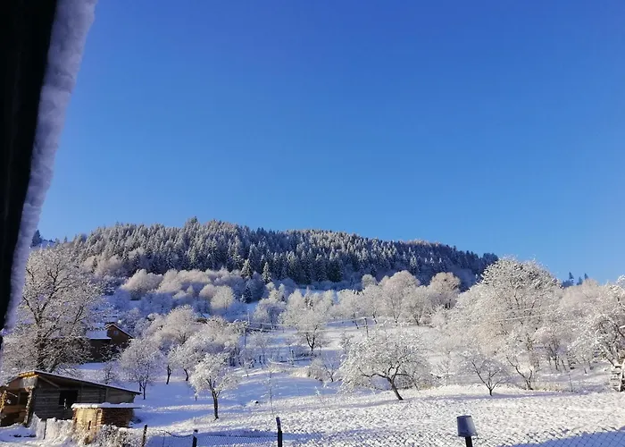 Анничка