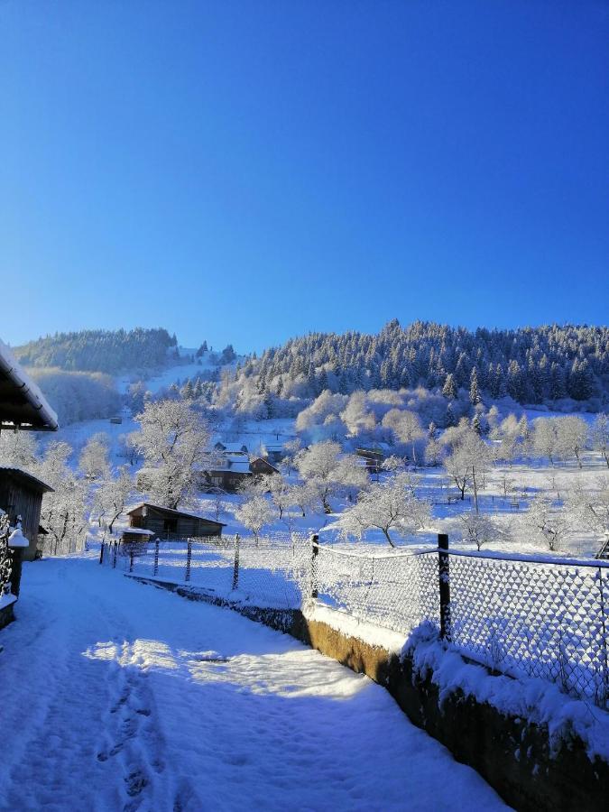 Holiday home анничка