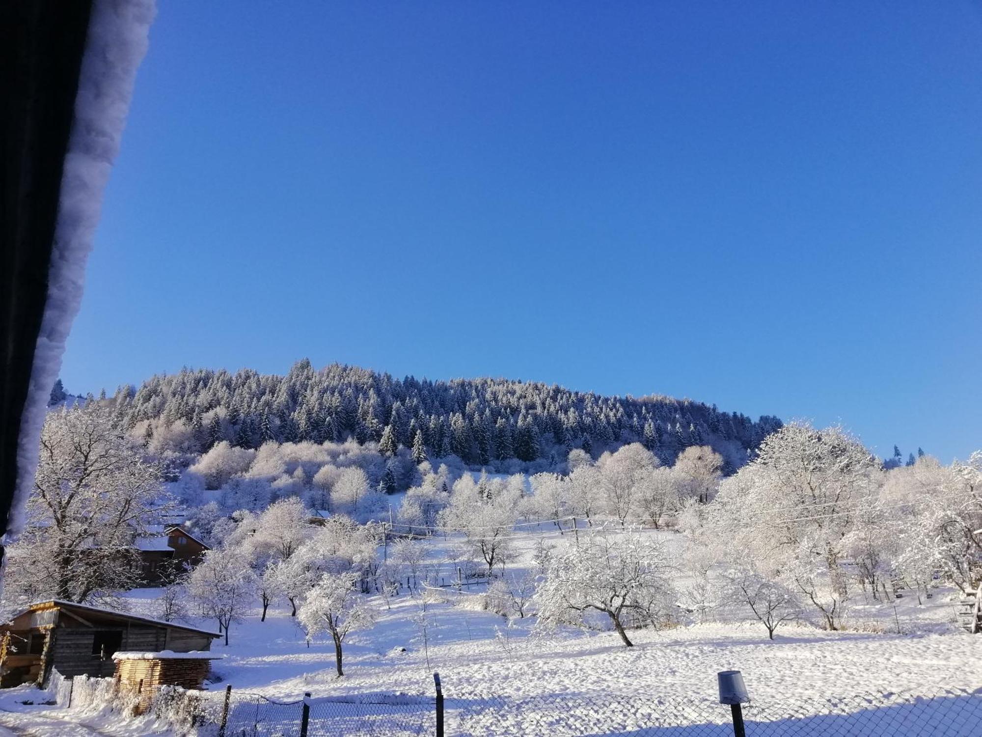 Holiday home анничка Khorotseve