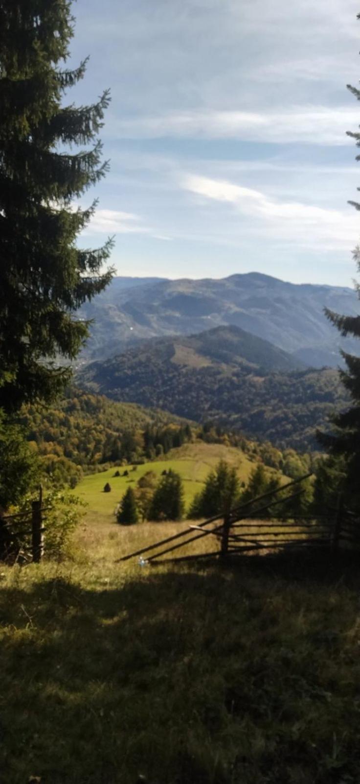 анничка Holiday home Khorotseve