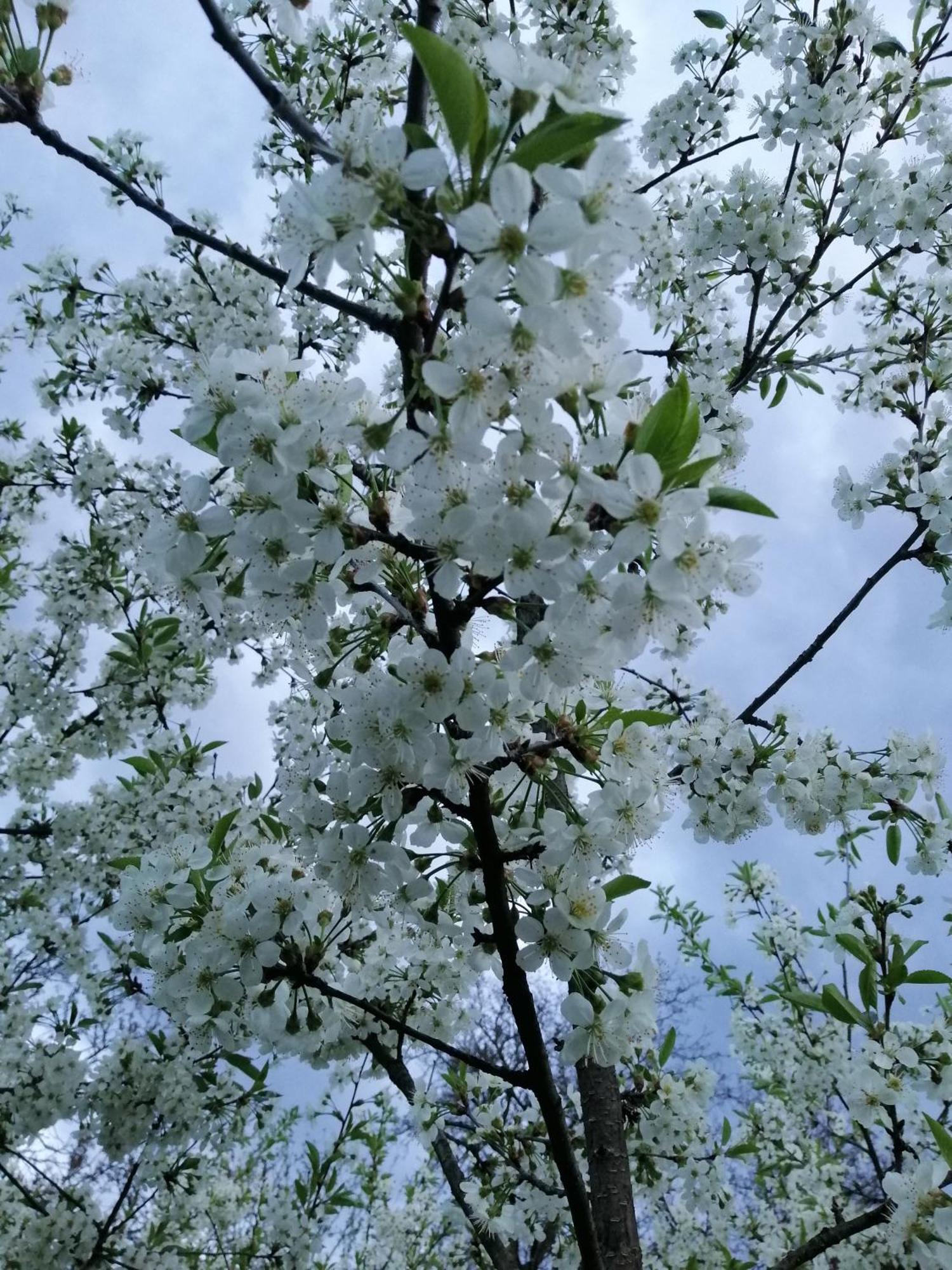 度假居 анничка Khorotseve